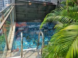 Residences @ Killiney (D9), Apartment #460176461